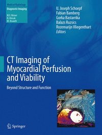 bokomslag CT Imaging of Myocardial Perfusion and Viability