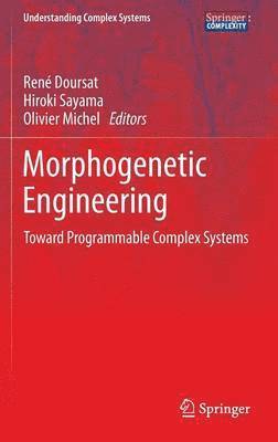 Morphogenetic Engineering 1