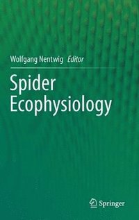 bokomslag Spider Ecophysiology