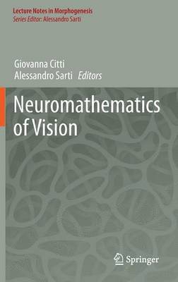 bokomslag Neuromathematics of Vision