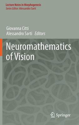 Neuromathematics of Vision 1