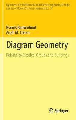 bokomslag Diagram Geometry