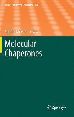 bokomslag Molecular Chaperones