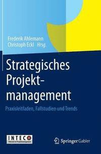 bokomslag Strategisches Projektmanagement