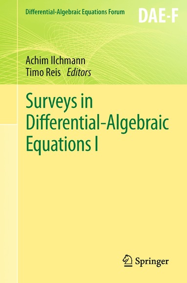 Achim Ilchmann, Timo Reis - Surveys in Differential-Algebraic Equations I, Häftad