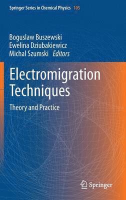 bokomslag Electromigration Techniques