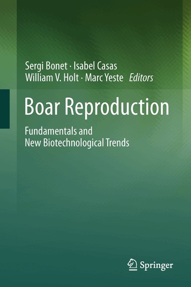Sergi Bonet, Isabel Casas, William V Holt, Marc Yeste - Boar Reproduction, Inbunden