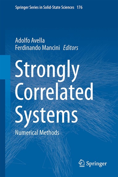 Adolfo Avella, Ferdinando Mancini - Strongly Correlated Systems, Inbunden