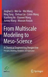 bokomslag From Multiscale Modeling to Meso-Science