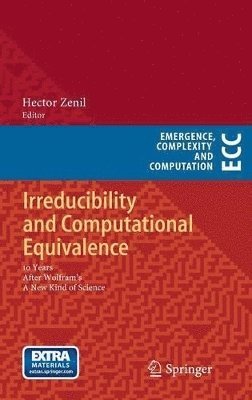 Irreducibility and Computational Equivalence 1