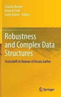 bokomslag Robustness and Complex Data Structures