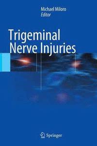 bokomslag Trigeminal Nerve Injuries