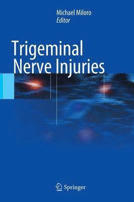 bokomslag Trigeminal Nerve Injuries