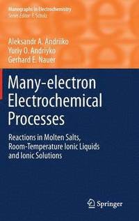 bokomslag Many-electron Electrochemical Processes