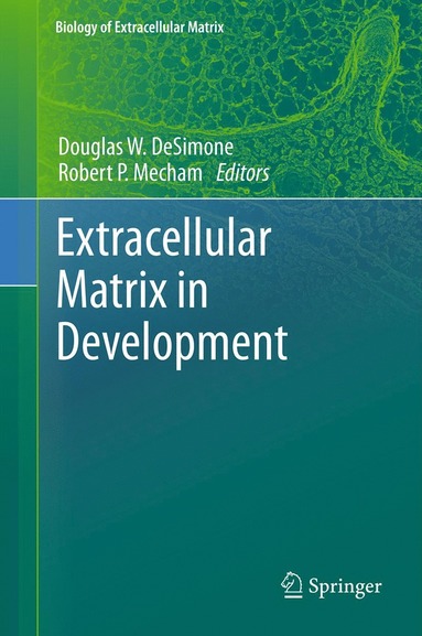 bokomslag Extracellular Matrix in Development