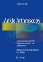 bokomslag Ankle Arthroscopy