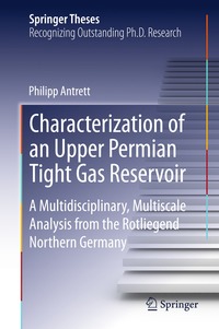 bokomslag Characterization of an Upper Permian Tight Gas Reservoir