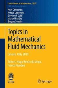bokomslag Topics in Mathematical Fluid Mechanics