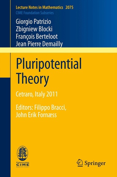 Giorgio Patrizio, Zbigniew Błocki, Francois Berteloot, Jean Pierre Demailly - Pluripotential Theory, Häftad