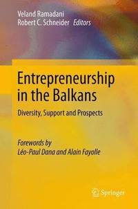 bokomslag Entrepreneurship in the Balkans