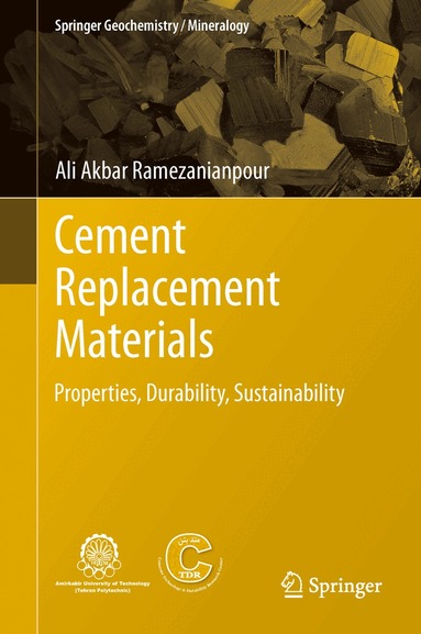 Ali Akbar Ramezanianpour - Cement Replacement Materials, Inbunden