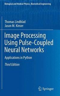 bokomslag Image Processing using Pulse-Coupled Neural Networks