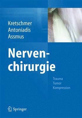 bokomslag Nervenchirurgie