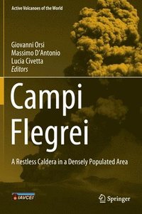 bokomslag Campi Flegrei