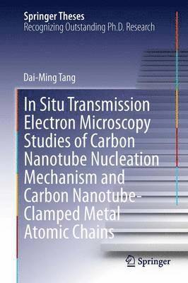 bokomslag In Situ Transmission Electron Microscopy Studies of Carbon Nanotube Nucleation Mechanism and Carbon Nanotube-Clamped Metal Atomic Chains