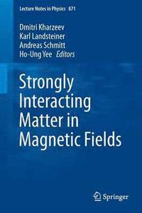 bokomslag Strongly Interacting Matter in Magnetic Fields