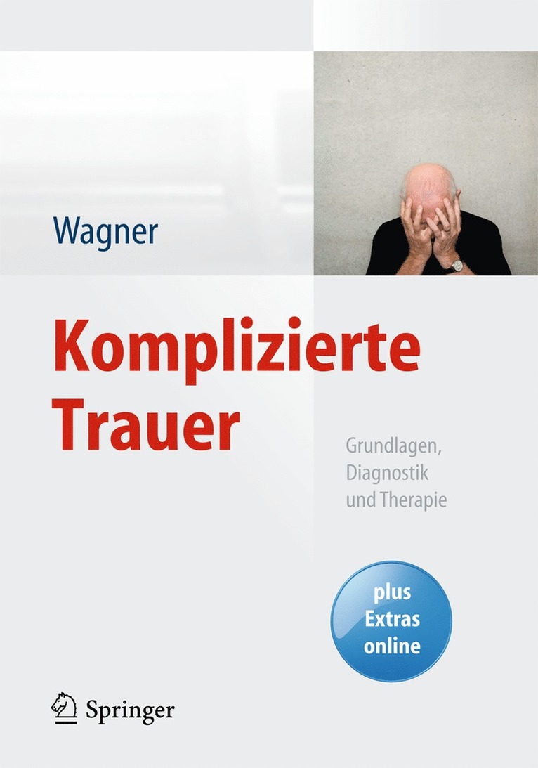 Birgit Wagner - Komplizierte Trauer, Häftad