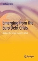 bokomslag Emerging from the Euro Debt Crisis