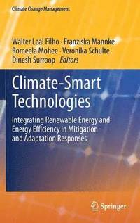 bokomslag Climate-Smart Technologies