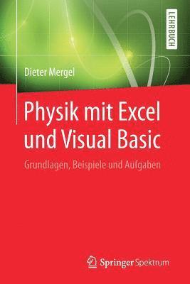 Dieter Mergel - Physik mit Excel und Visual Basic, Häftad