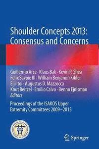 bokomslag Shoulder Concepts 2013: Consensus and Concerns