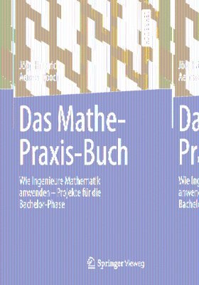 bokomslag Das Mathe-Praxis-Buch