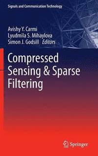 bokomslag Compressed Sensing & Sparse Filtering