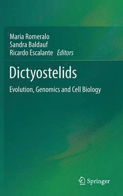 Dictyostelids 1