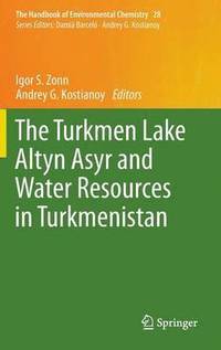bokomslag The Turkmen Lake Altyn Asyr and Water Resources in Turkmenistan