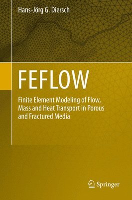 FEFLOW 1