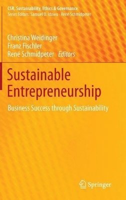 bokomslag Sustainable Entrepreneurship