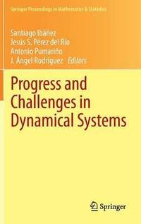 bokomslag Progress and Challenges in Dynamical Systems