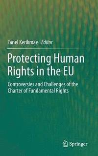 bokomslag Protecting Human Rights in the EU