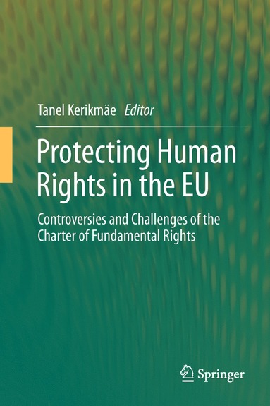 bokomslag Protecting Human Rights in the EU