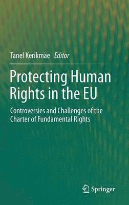 Protecting Human Rights in the EU 1