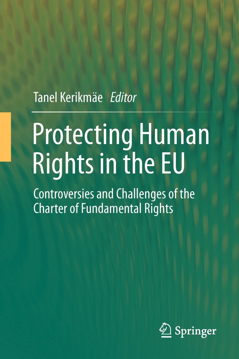 Protecting Human Rights in the EU 1