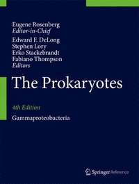 bokomslag The Prokaryotes