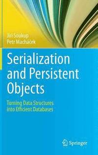bokomslag Serialization and Persistent Objects