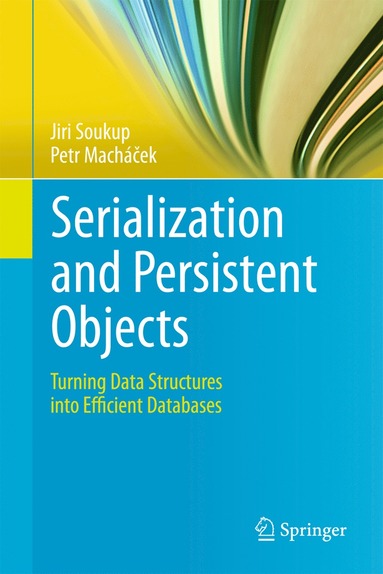 bokomslag Serialization and Persistent Objects