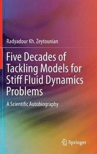 bokomslag Five Decades of Tackling Models for Stiff Fluid Dynamics Problems